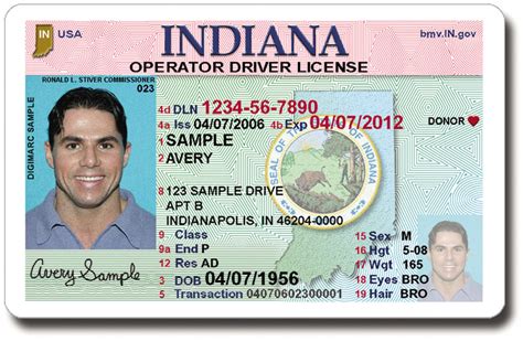 (Fully editable, fonts included) You need adobe photoshop to edit this template. . Indiana driver license template